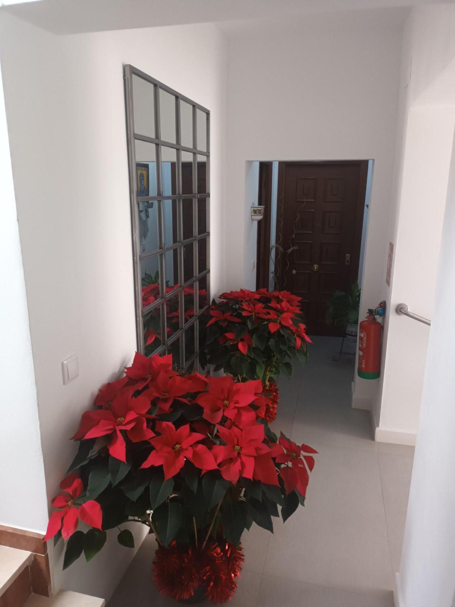 Casa San Mateo Apartment Cordoba Exterior photo